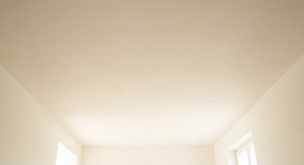 Ceiling after patching and texture match